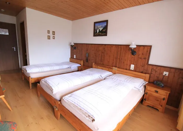 Ξενοδοχείο Fiescherhof