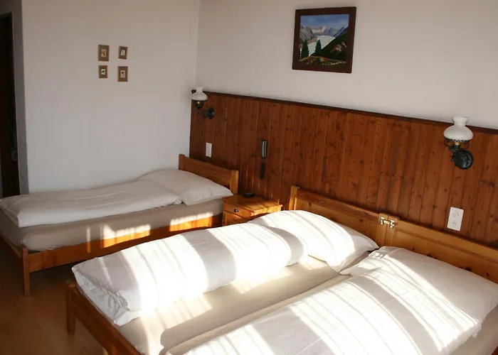 Ξενοδοχείο Fiescherhof Fiesch