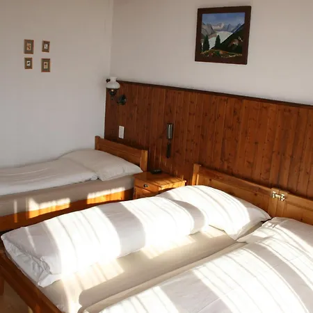 Hotell Fiescherhof Fiesch